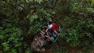 Elephant Safari at Jaldapara Forest [upl. by Herby]