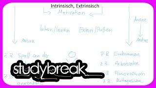 Intrinsisch Extrinsisch  Pädagogik  Bildungswissenschaften [upl. by Puttergill]