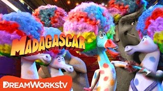 MADAGASCAR 3  Extrait « AFRO CIRCUS » VF [upl. by Ferreby]