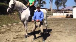 Dressage secrets Outside leg [upl. by Etnoel]