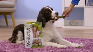 Whimzees Dental Dog Treats  Chewy [upl. by Norven225]