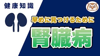 【腎臓内科医監修】気がついたら腎臓病？〜腎臓病を早期でみつけるためには〜 [upl. by Aleunamme]