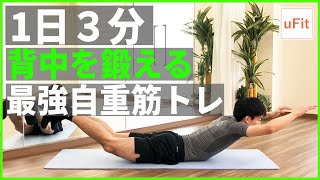 【背筋トレーニング】背筋を鍛える最強自重筋トレ！器具なしで背中を鍛えよう（3分） [upl. by Asilad334]