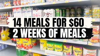 EXTREMELY FRUGAL GROCERY HAUL  14 MEALS FOR 60  5 DOLLAR DINNERS ON A BUDGET [upl. by Eibor]