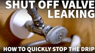 Leaking Shut Off Valve Under Sink  Faucet Valve Leaking  How to Fix a Leaky Shut Off Valve Quickly [upl. by Nrobyalc336]