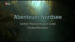 Abenteuer Nordsee  GERMAN DOKU [upl. by Oned479]