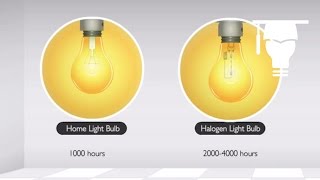 Incandescent and Halogen Lamps [upl. by Canada]