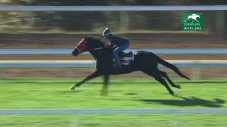 Tylers Tribe Works at Keeneland Oct 15 2022 [upl. by Haram]