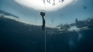 Alessia Zecchini World Record Dive to 102m CWT [upl. by Auroora]