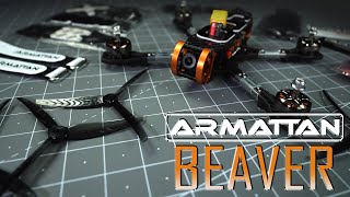 introducing ARMATTAN BEAVER  the wait is over [upl. by Steere799]