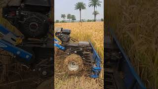 Best Reaper Machine  ₹ 110 Lakh Farming Machine farming viralshort [upl. by Eudocia]