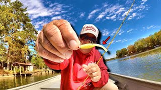 THIS Jig DOMINATES Crappie Fishing In The Fall [upl. by Kelton765]