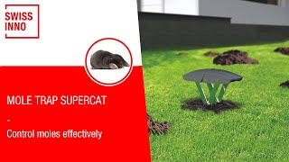 Mole Trap SuperCat SWISSINNO [upl. by Nyladnor294]