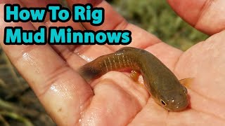 2 Best Ways To Rig Mud Minnows For Redfish Trout amp Flounder [upl. by Acinonrev629]