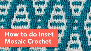 Beginners guide to Inset Mosaic Crochet [upl. by Vullo707]