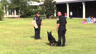 Destin Middle School OCSO K9 Demonstration [upl. by Sileas195]