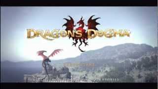 Dragons Dogma Title Screen [upl. by Dorison659]