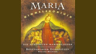 Marienlied für Chor Mein Herz erhebet Gott den Herrn [upl. by Casteel]