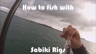 NZ Basic Fishing  Tutorial  How to use Sabiki Rigs [upl. by Sarad]