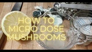 Micro Dose Mushroom How to Microdose Mushrooms Lemon TEK Tea Recipe [upl. by Murtha162]