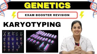 GENETICS  Karyotyping  Basics Procedure amp Application  MedSeed MBBS [upl. by Kyle]