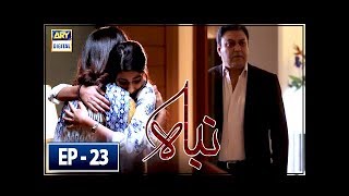 Nibah Episode 23  15th June 2018  ARY Digital Drama [upl. by Zadack264]