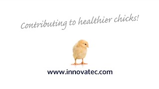 This is Innovatec Hatchery Automation [upl. by Haizek]