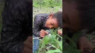 Hikers meet parrots part03bird animals nature wildlife parrotr love ❤️❤️🦜❤️ [upl. by Naved]