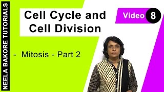 Cell Cycle amp Cell Division  NEET  Mitosis  Part 2  Neela Bakore Tutorials [upl. by Sera]