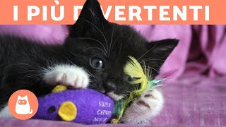 5 GIOCHI per DIVERTIRE il tuo GATTO in CASA 🐱 [upl. by Ajidahk675]