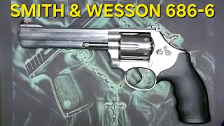 How to Clean a Smith and Wesson 686 Revolver A Beginners Guide [upl. by Norita]