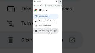 How to Delete Google Chrome History In PC or Laptop  2024 [upl. by Dlanor133]