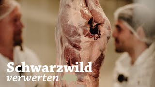 Schwarzwild ganzheitlich verwerten Abschwarten  Saujagd  Drückjagd  Wild Boar  Jungjäger [upl. by Drofnelg]