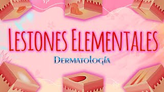 Lesiones Elementales de la Piel  Clase Dermatología  DraMartel [upl. by Madelin]