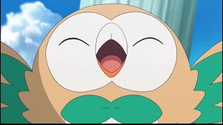 Rowlet being Rowlet🦉🍃 [upl. by Jaworski]