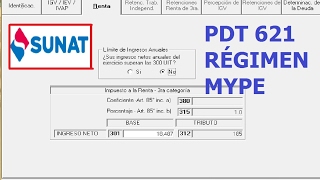 Declaración mensual PDT 621 MYPE TRIBUTARIO Tutorial paso a paso [upl. by Eidnim]