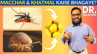 MaccharKhatmal Ko Kaise Bhagaye  How To Eliminate MosquitoBed Bugs  Dr Ibrahim [upl. by Dugaid]