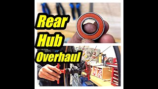 Rear Bicycle Hub Cartridge Bearing Replacement [upl. by Eylatan180]