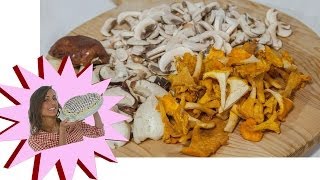 Pulire i Funghi  Ecco come Fare  Le Ricette di Alice [upl. by Inna277]