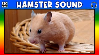 🐹 HAMSTER SOUND  HAMSTER SOUND EFFECT  SOUND OF HAMSTER  NOISE OF HAMSTER [upl. by Paton120]