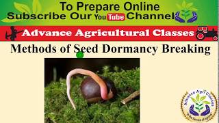 Methods of Seed Dormancy Breaking HindiEnglish [upl. by Eskil]