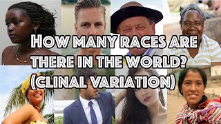 How Many Races are There in the World Clinal Variation [upl. by Eiveneg694]