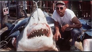 Largest Shark EVER Caught [upl. by Bigg]