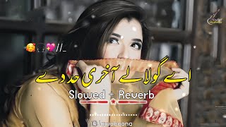 Ay Gulaly Akheri Had Dy 🥰  Slowed And Reverb  Pashto New Song  Yadoona [upl. by Asiluj673]