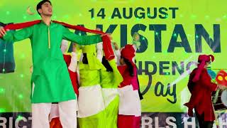 DPS Layyah Students Performance on Independence Day 2024  School Function  Best Tablo Performance [upl. by Aitnis]