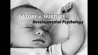 Genes amp Environment in Prenatal development  Developmental Psychology [upl. by Ahsrats]