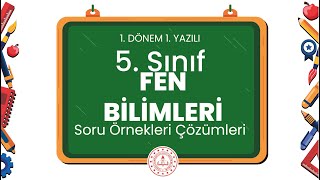 5 Sınıf Fen Bilimleri 1 Dönem 1 Yazılı Soru Örnekleri Çözümleri [upl. by Dougie]