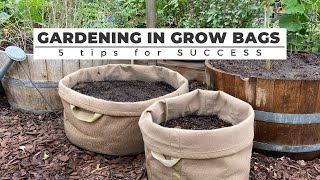 Gardening in GROW BAGS 5 Tips for SUCCESS [upl. by Onifur]