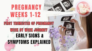 First Trimester of Pregnancy Week by Week Journey  Early Signs amp Symptoms Explained [upl. by Suirred]