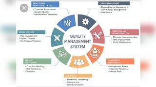 What is a Quality Management System QMS [upl. by Ivy]